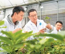农业种质资本亮“家底”