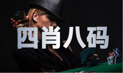 港澳六台联盟宝典