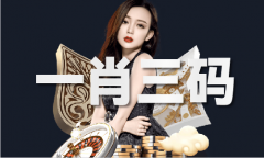 2025已更新)网坐IOSAndroid通用版