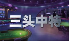 蓝月亮精选料材料大全