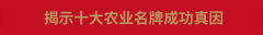 年终寄语：做农产物区域公用品牌扶植引