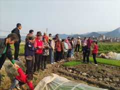<b>玉州区：科技下乡促复兴 平易近族连合一</b>