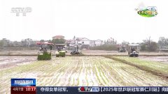 让麦田喝上“伶俐水”、百合种植新手艺